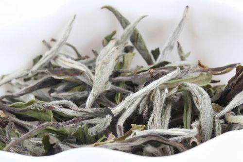 什么是白茶？白茶的功效與作用.jpg