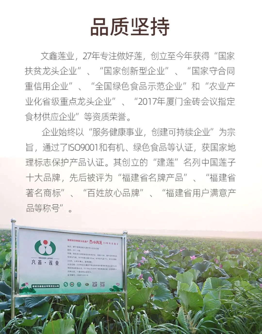 有機(jī)通心白蓮.jpg