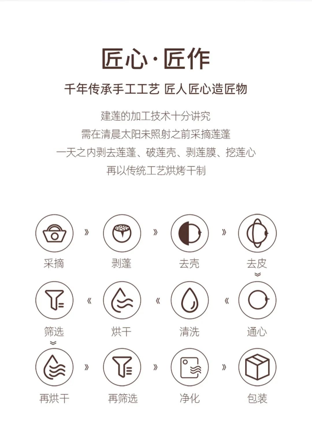 有機(jī)通心白蓮.jpg